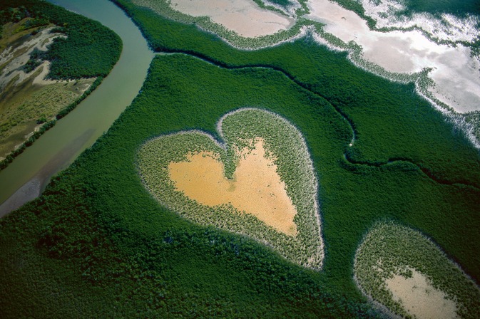 CŒUR DE VOH EN 1990, NOUVELLE-CALEDONIE, FRANCE (20°56’ S – 164°39’ E). La mangrove, forêt mi-terrestre mi-aquatique, se développe sur les sols vaseux tropicaux exposés aux alternances de marées. Constituée de diverses plantes halophytes (capables de vivre sur les sols salés), avec une prédominance de palétuviers, elle tapisse près d’un quart des côtes tropicales et couvre environ 15 millions d’hectares à travers le monde, la moitié de son étendue originelle. Ce milieu fragile recule continuellement devant la surexploitation des ressources, l’expansion agricole et urbaine, le développement des élevages de crevettes et la pollution. La mangrove reste pourtant indispensable à la faune marine et à l’équilibre du littoral, aussi bien qu’à l’économie locale. La Nouvelle-Calédonie, ensemble d’îles du Pacifique qui couvre 18 575 km2, compte 200 km2 d’une mangrove assez basse (8 à 10 m de hauteur) mais très dense, principalement sur la côte ouest de Grande Terre, l’île la plus importante de l’archipel néo-calédonien. A l’intérieur des terres, là où l’eau marine ne pénètre qu’au moment des grandes marées, la végétation cède parfois la place à des étendues nues et sursalées appelées tannes, comme près de la localité de Voh où la nature a dessiné cette clairière en forme de cœur stylisé.