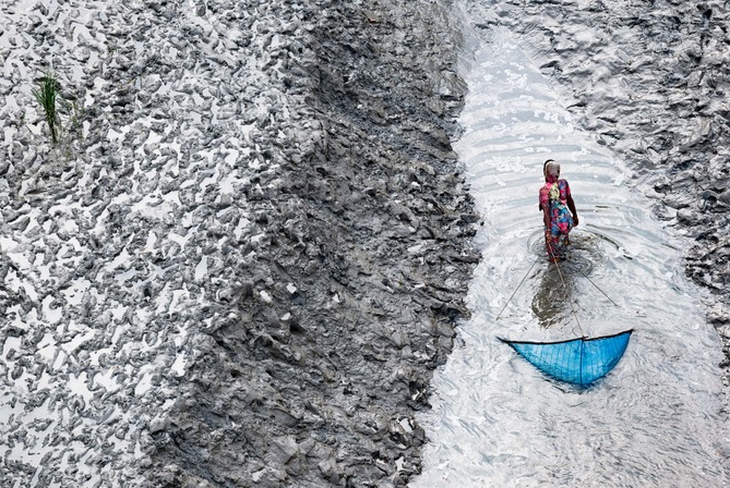 FEMME PÊCHANT AU FILET SUR UN BRAS DU DELTA,SUD DE PADMAPUKUR, DISTRICT DE KHULNA, BANGLADESH (22° 15’ 58,86” N – 89° 11’ 42,63” E). Pays pauvre et densément peuplé avec une moyenne de 1 265 habitants au km2, le Bangladesh peine à nourrir sa population. Mais des progrès ont été accomplis dans la lutte contre la pauvreté et se répercutent sur l’alimentation des habitants du pays. En effet, en 25 ans, le taux de Bangladais vivant sous le seuil de pauvreté a fortement diminué passant de 57 % en 1991 à 24,3 % en 2016. Malgré le recul de la pauvreté, la malnutrition y reste endémique, notamment chez les enfants. Quelque 40 millions de Bangladais sont sous-alimentés, soit un quart de la population, selon la FAO (Organisation des Nations unies pour l’alimentation et l’agriculture). Dans ce contexte, on comprend pourquoi 70 % de la population pratique au moins occasionnellement, sous une forme ou une autre, une pêche de subsistance. C’est le moyen le plus accessible de se procurer des protéines lorsqu’on est pauvre, qui plus est sans terre. Le poisson, qu’il provienne de la pêche ou de l’aquaculture, est au Bangladesh la première source de protéines d’origine animale.